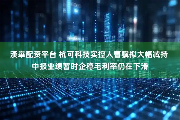 漢崋配资平台 杭可科技实控人曹骥拟大幅减持 中报业绩暂时企稳毛利率仍在下滑