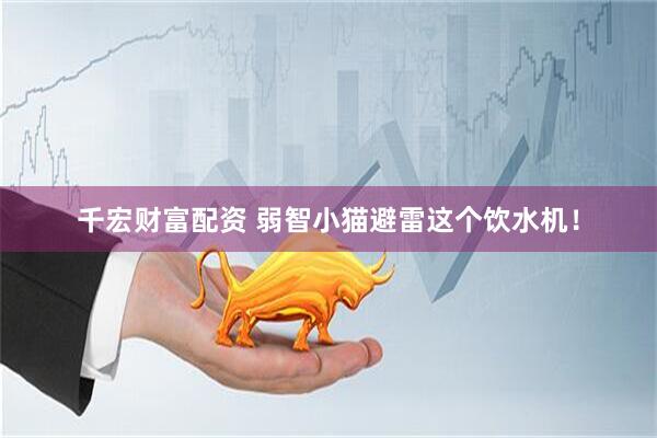 千宏财富配资 弱智小猫避雷这个饮水机！