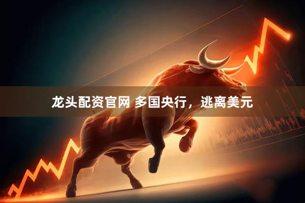 龙头配资官网 多国央行，逃离美元