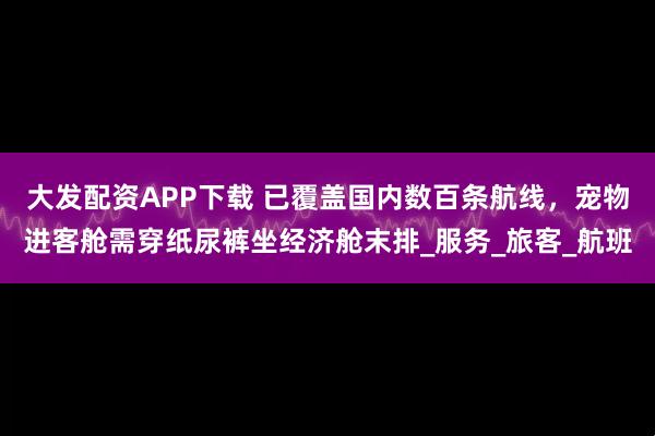 大发配资APP下载 已覆盖国内数百条航线，宠物进客舱需穿纸尿裤坐经济舱末排_服务_旅客_航班