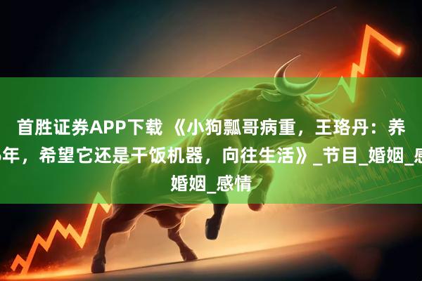 首胜证券APP下载 《小狗瓢哥病重，王珞丹：养了6年，希望它还是干饭机器，向往生活》_节目_婚姻_感情