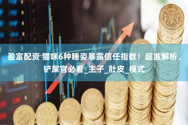 盈富配资 猫咪6种睡姿暴露信任指数！超准解析，铲屎官必看_主子_肚皮_模式